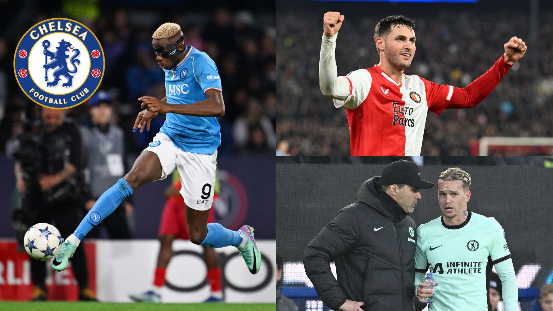 可以看到 可以看到